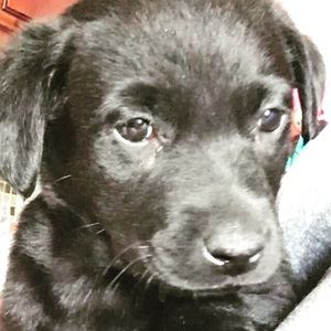 Meet your Posher, Erica